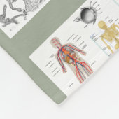 Anatomische Diagramme Fleecedecke (Ecke)