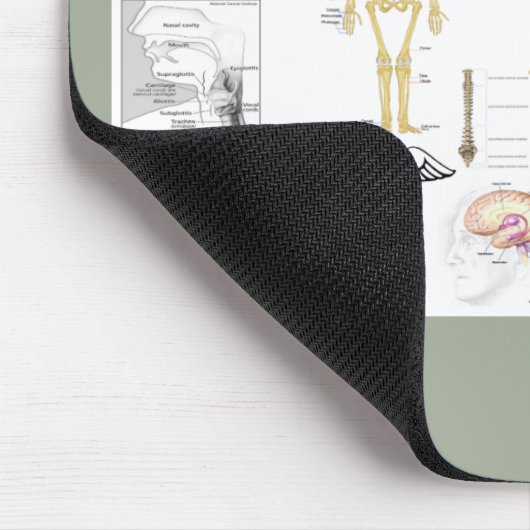 Anatomische Diagramme Mousepad (Ecke)