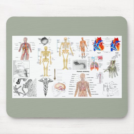Anatomische Diagramme Mousepad (Vorne)