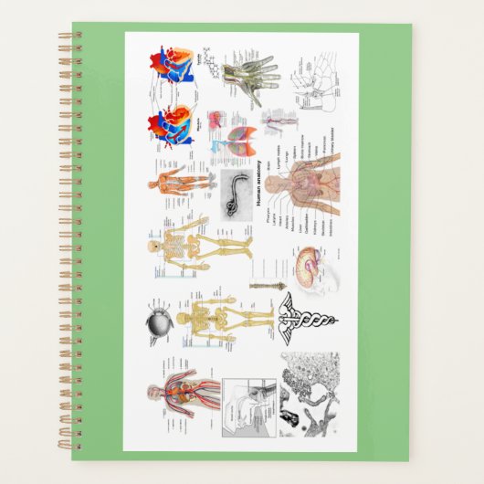 Anatomische Diagramme Planer (Vorderseite)