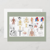 Anatomische Diagramme Postkarte (Vorne/Hinten)