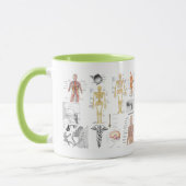 Anatomische Diagramme Tasse (Links)