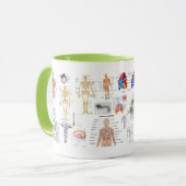 Anatomische Diagramme Tasse (Vorderseite Links)