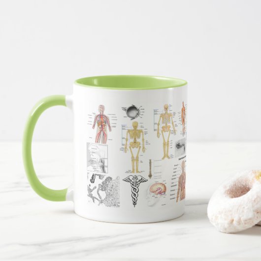 Anatomische Diagramme Tasse (Mit Donut)