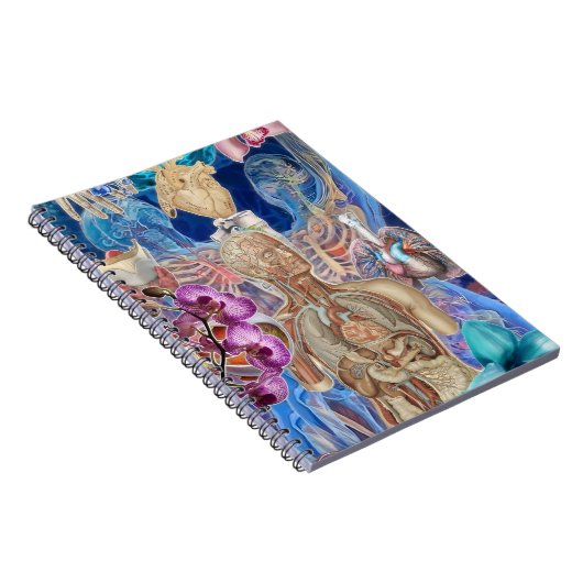 Anatomische Flora: Ein Blueprint im Blut Notizblock (Rechte Seite)