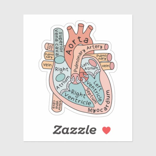Anatomische Heart Sticker, Cardiac ICU Nurse Gift Aufkleber (Blatt)