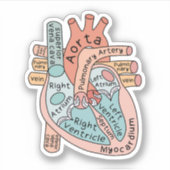 Anatomische Heart Sticker, Cardiac ICU Nurse Gift Aufkleber (Vorderseite)