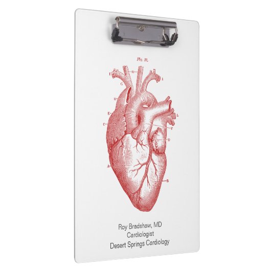 Anatomische Herzkartologie Patientenklammer Klemmbrett (Rechts)