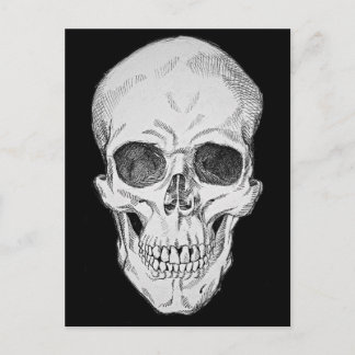 Anatomische Illustration des menschlichen Schädels Postkarte