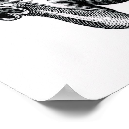 Anatomische Kunst des Pferdebeins Poster (Ecke)