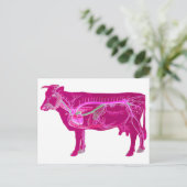 Anatomische Niedliche Kuh Postkarte (Stehend Vorderseite)