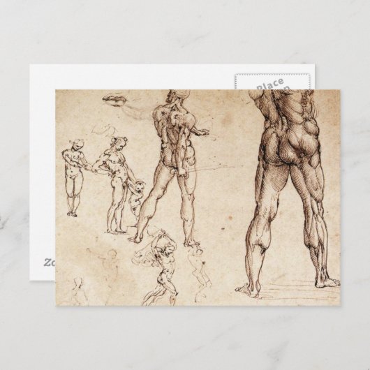 Anatomische Studien Postkarte (Vorne/Hinten)