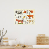 Anatomische Übersicht der Rinder - 18" x 24" Poster (Küche)