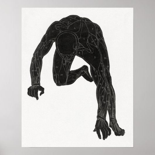 Anatomische Untersuchung des Nackens eines Mannes Poster (Vorne)