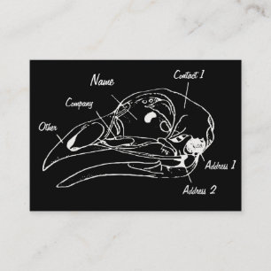 Anatomische Vogel-Schädel-Illustration Visitenkart Visitenkarte