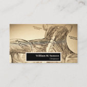 Anatomischer Chiropraktor-Termin Visitenkarte (Vorderseite)