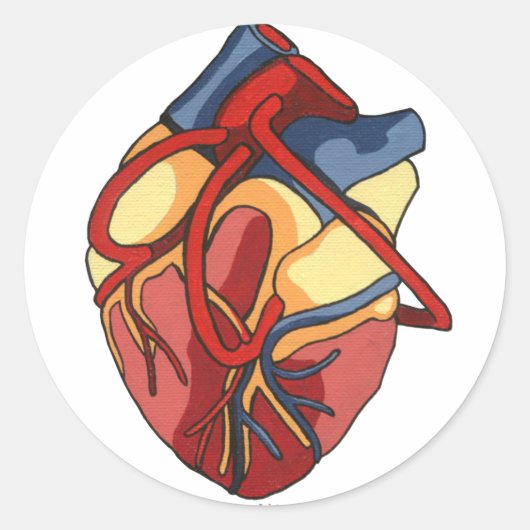 Anatomischer Heart Round Sticker (Vorderseite)