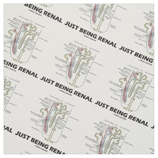Anatomischer Nephron NierenSpaß gerade seiend Stoff (Muster)