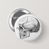 Anatomischer Schädel-Button-Knopf Button (Vorne & Hinten)