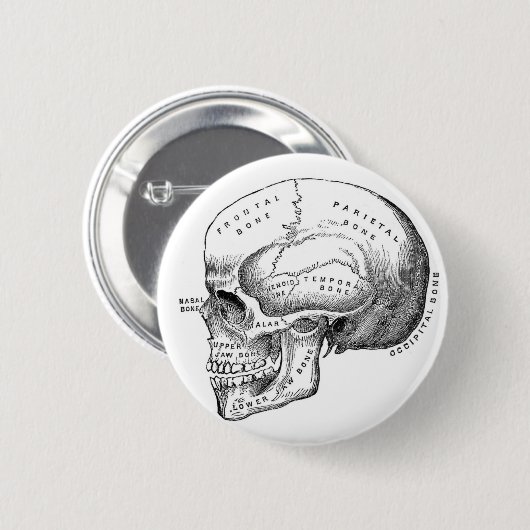 Anatomischer Schädel-Button-Knopf Button (Vorne & Hinten)