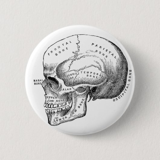 Anatomischer Schädel-Pin-Button Button (Vorderseite)