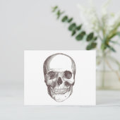 Anatomischer Schädel, schwarz/weiß Postkarte (Stehend Vorderseite)