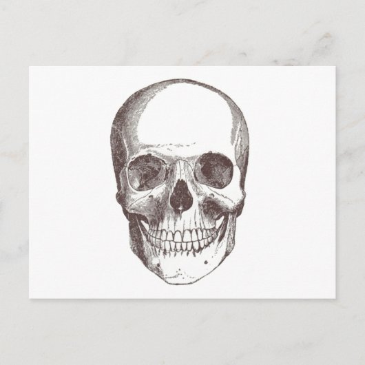 Anatomischer Schädel, schwarz/weiß Postkarte (Vorderseite)
