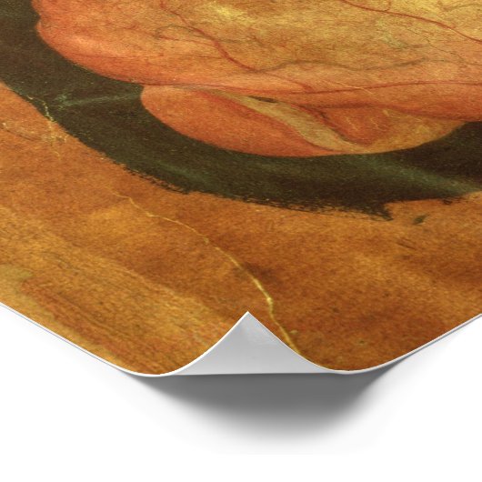 Anatomischer zeichn des menschlichen Gehirns Poster (Ecke)