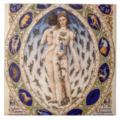 Anatomischer Zodiac-Mensch Fliese (Vorderseite)