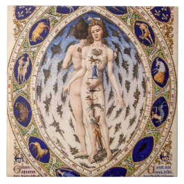 Anatomischer Zodiac-Mensch Fliese
