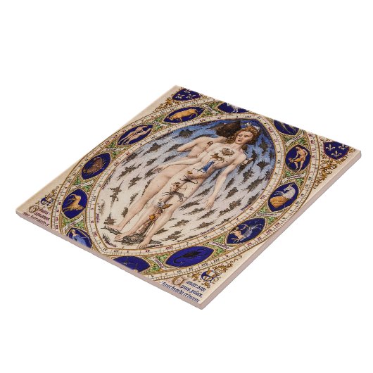 Anatomischer Zodiac-Mensch Fliese (Seite)