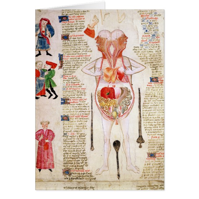 Anatomisches Diagramm (Vorne)