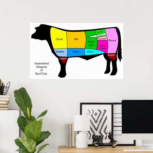 Anatomisches Diagramm der amerikanischen Urkundsst Poster (Heimbüro)