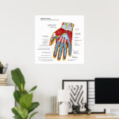 Anatomisches Diagramm der menschlichen Hand und de Poster (Heimbüro)