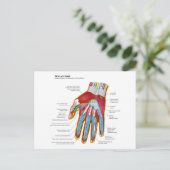 Anatomisches Diagramm der menschlichen Hand und de Postkarte (Stehend Vorderseite)