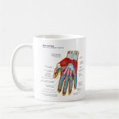 Anatomisches Diagramm der menschlichen Hand und Kaffeetasse (Links)