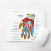 Anatomisches Diagramm der menschlichen Hand und Mousepad (Mit Mouse)