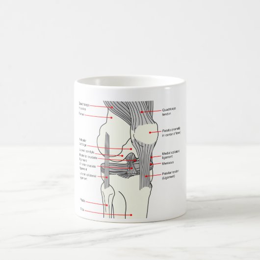 Anatomisches Diagramm eines Kaffeetasse (Mittel)