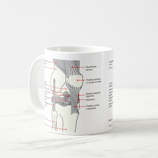 Anatomisches Diagramm eines Kaffeetasse (Vorderseite Links)