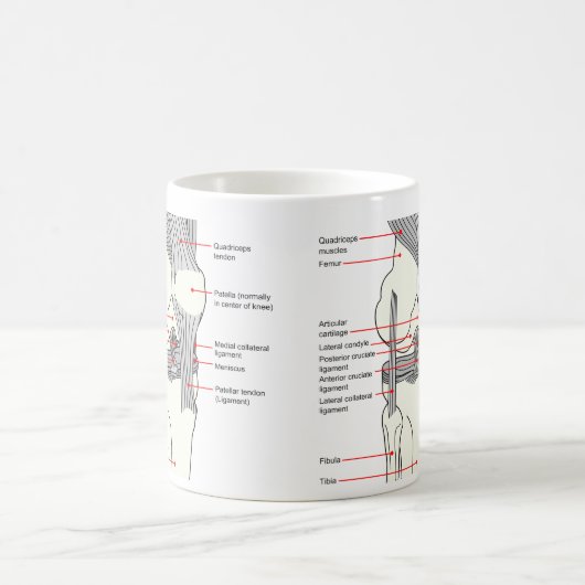 Anatomisches Diagramm eines Kaffeetasse (Mittel)