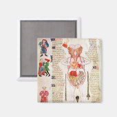 Anatomisches Diagramm Magnet (Vorderseite/Rückseite)