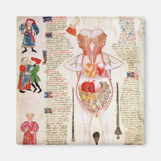 Anatomisches Diagramm Magnet (Vorne)