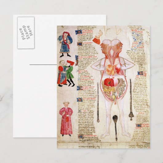 Anatomisches Diagramm Postkarte (Vorne/Hinten)