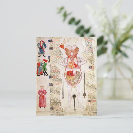 Anatomisches Diagramm Postkarte (Stehend Vorderseite)