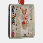Anatomisches Diagramm Silbernes Ornament (Rechts)