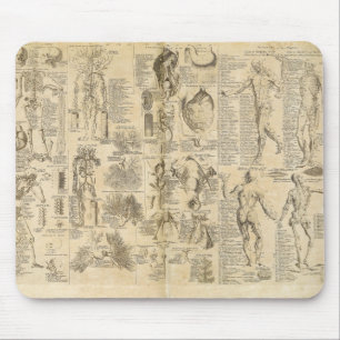 Anatomisches Diagramm von Cyclopaedia 1728 Mousepad