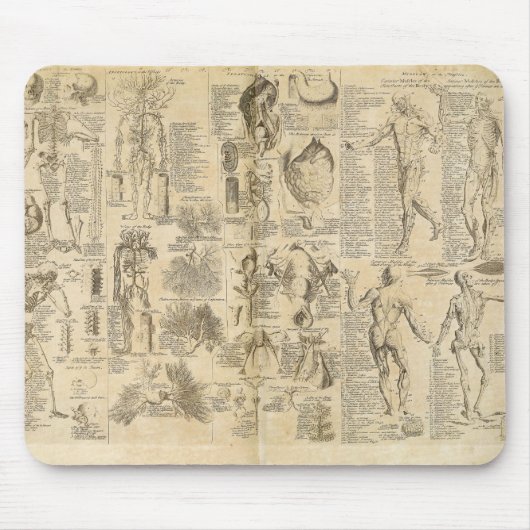 Anatomisches Diagramm von Cyclopaedia 1728 Mousepad (Vorne)