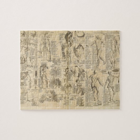 Anatomisches Diagramm von Cyclopaedia 1728 Puzzle (Horizontal)