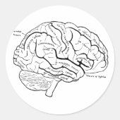 Anatomisches Gehirn Runder Aufkleber (Vorderseite)