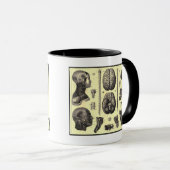 Anatomisches Gehirn und mehr Tasse (VorderseiteRechts)